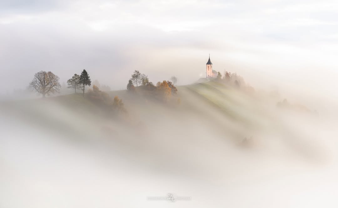 Instagram post by @fotografietrippolt for Nikon DACH. Caption reads: [...] #opernfoto #ad @opernfoto @haidafilter....