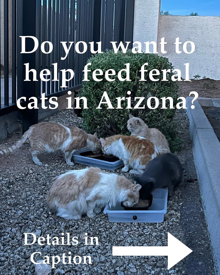 Instagram post by @phoenixferals for Farm to Pet. Caption reads: UPDATED CODES ✨ Hi cat friends! There are multiple....