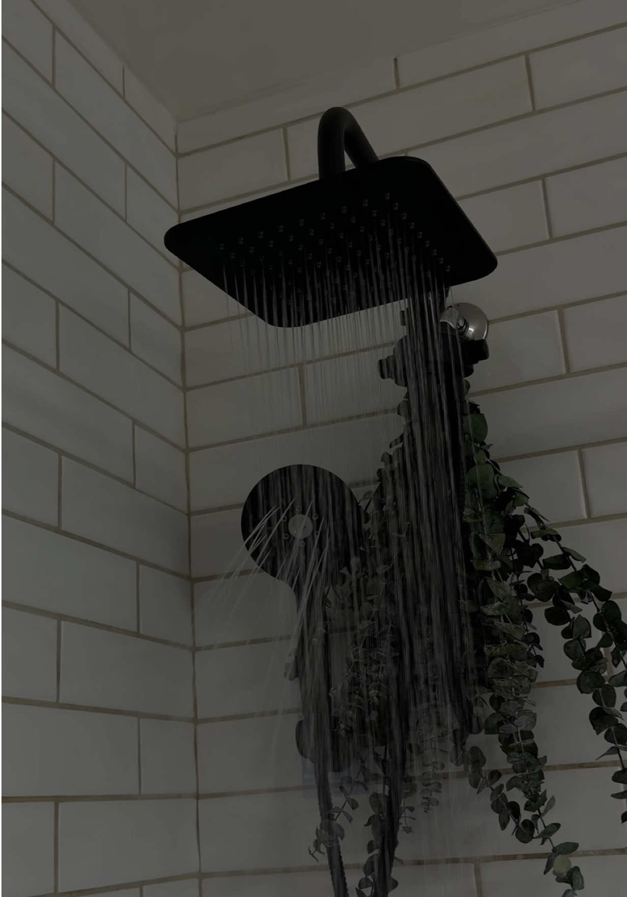 TikTok post by @brianaleshae for RYAMEN. Caption reads: The perfect shower upgrade 🖤 @RYAMEN....