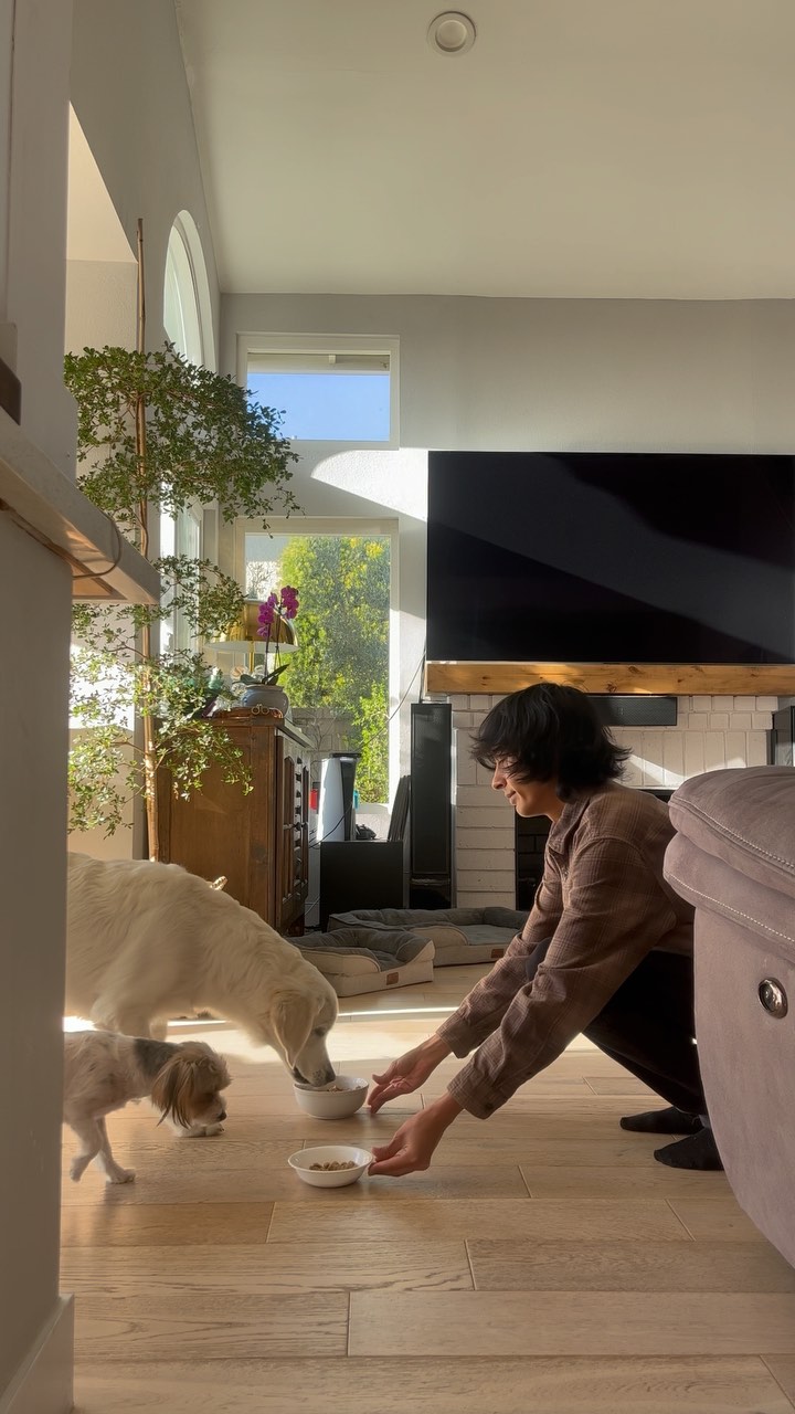 Instagram post by @brandonfrias for The Honest Kitchen. Caption reads: Making sure Cooper and Kai get the best quality....