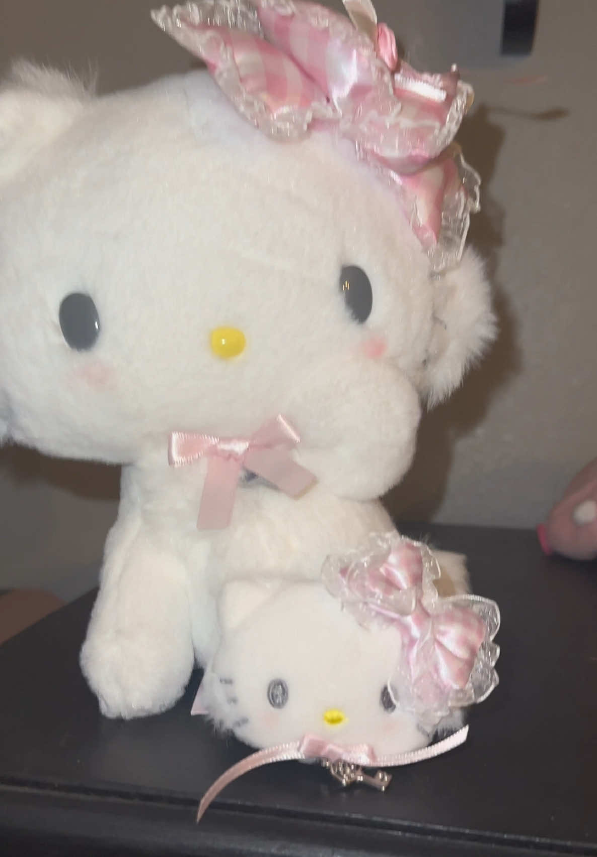 TikTok post by @taurusmoonthings for Sanrio. Caption reads: I need to get on @Official Sanrio PR list please....