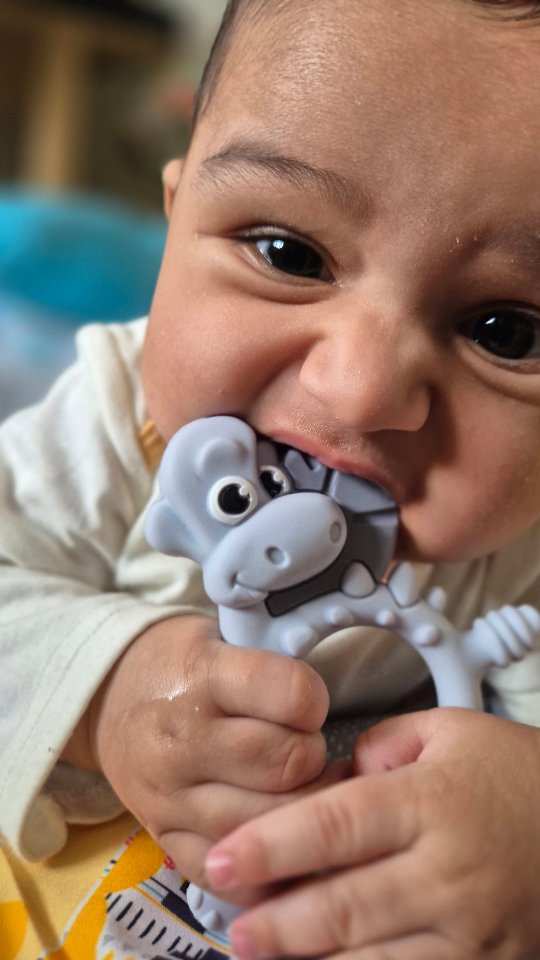 Instagram post by @maddyshahh for Bibado. Caption reads: Same tail, new adventure! 💚

The soft chewable....