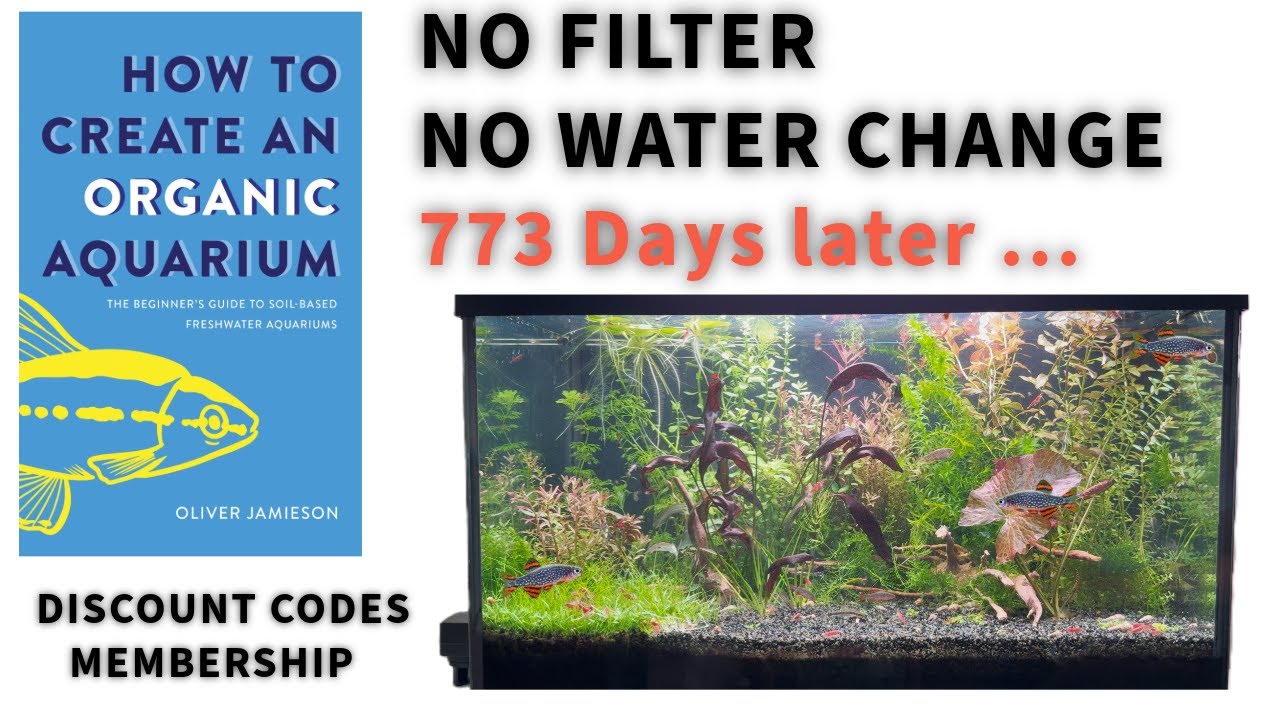 YouTube post by @walstadmethodstepbystep for Hygger Aquarium. Caption reads: No Filter, No Water Change, No Co2. Update Day 773.