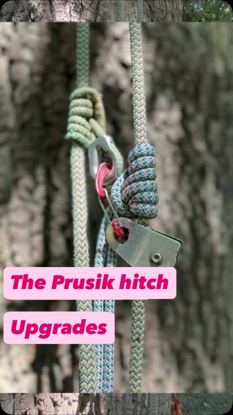 Instagram post by @climbingarborist_com for Jobber. Caption reads: [...] business, then try out our CRM partner....