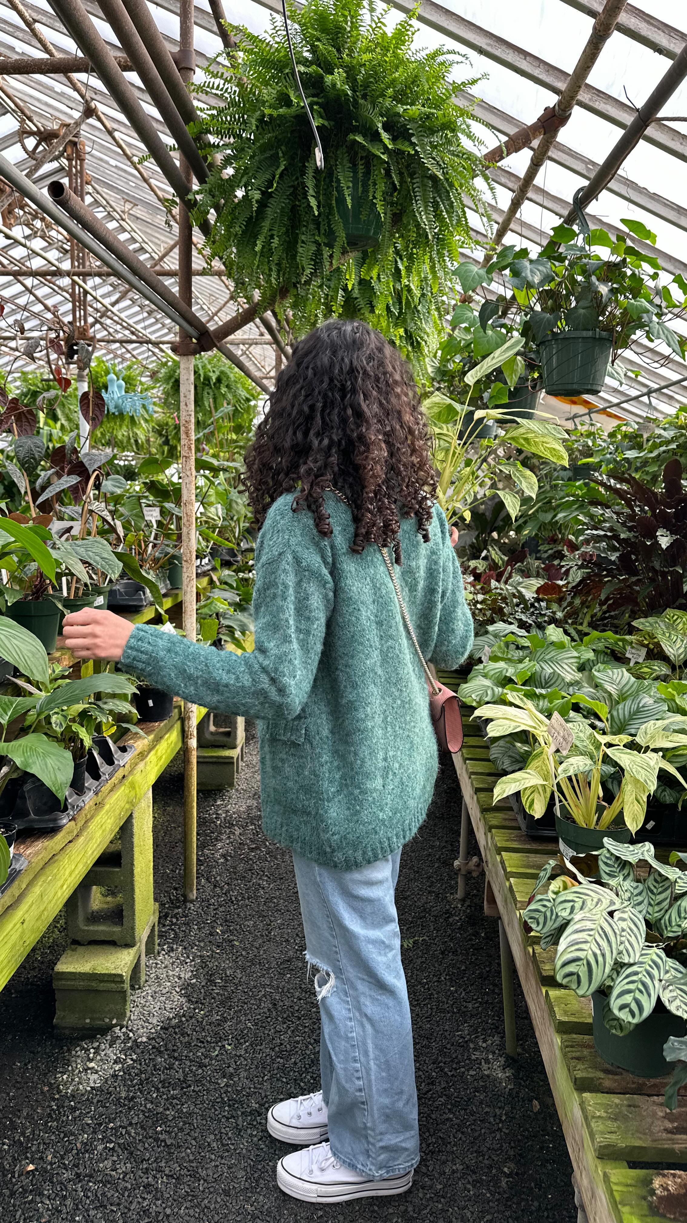 Instagram post by @tatianaaliya for Rosy Soil. Caption reads: [...] finally found the perfect soil ♥️ @rosysoil....