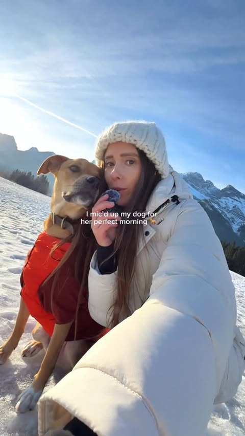 Instagram post by @kat_khoroshun for ORIJEN Petfoods. Caption reads: My dog’s idea of a perfect morning (ASMR edition)....