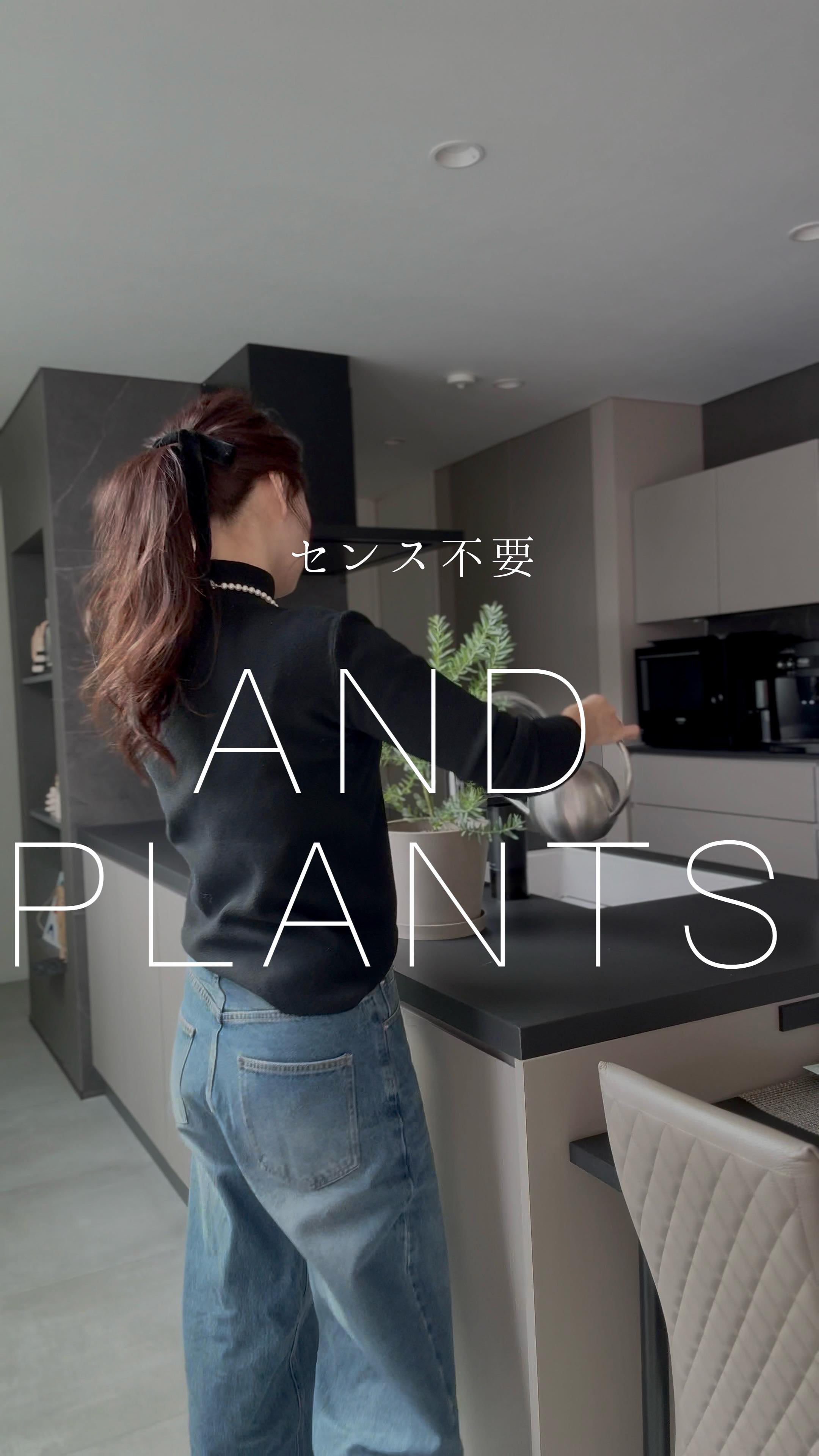 Instagram post by @daifukgram for AND PLANTS. Caption reads: @daifukgram....