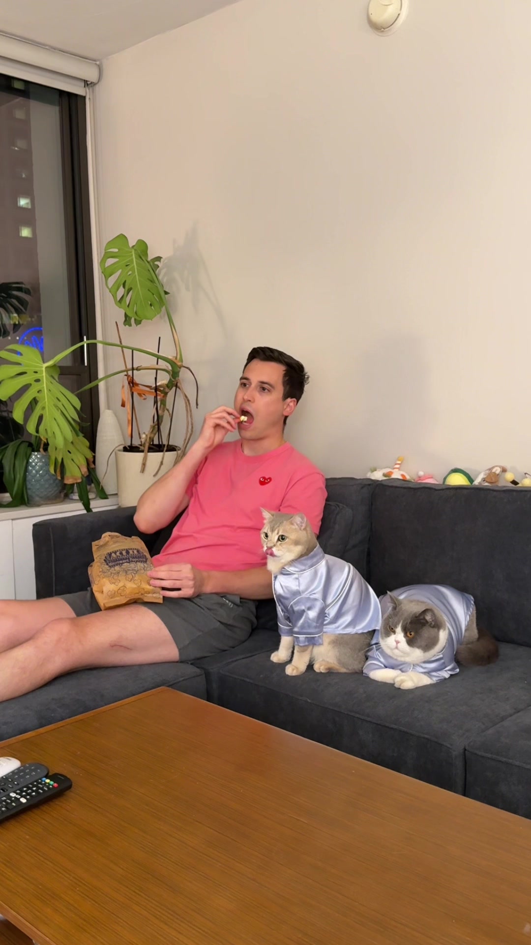 TikTok post by @louieandtodd for Belffin. Caption reads: [...] pet-friendly modular sleeper sofa from....