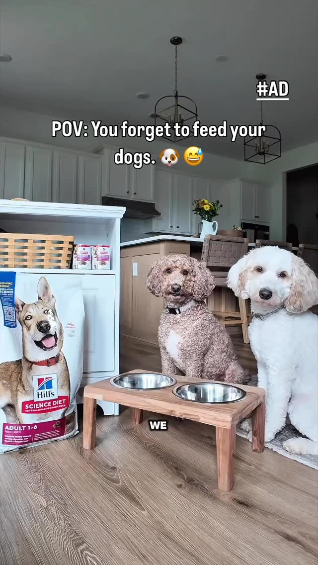 Instagram post by @team2moms for Hills Pet. Caption reads: #ad #HillsPartner When “I forgot to feed the....
