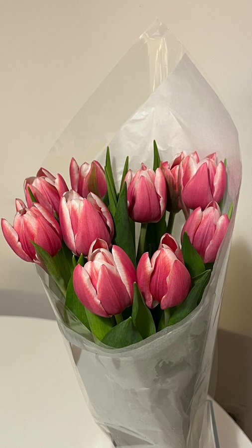 Instagram post by @chiaramrrr for Sarda. Caption reads: #AD @sarda x @tomorrowlandstore collection for....