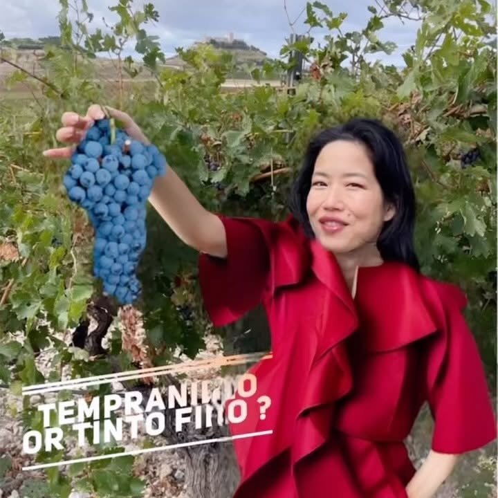 Instagram post by @karinshibata for Alexander McQueen. Caption reads: 🇪🇸 Wine House visit �with....