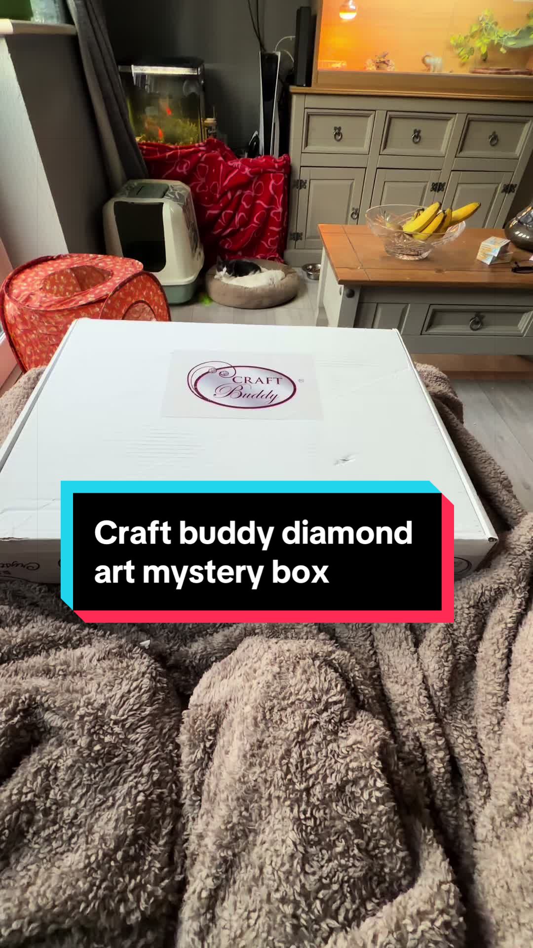TikTok post by @rozcozyreadingcorner for Craft Buddy. Caption reads: [...] myself to some more diamond art from @Craft....