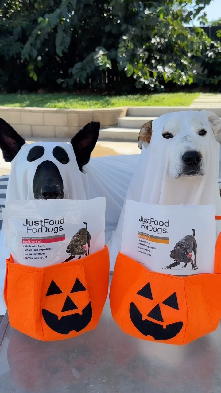 Instagram post by @theashleighdunn for JustFoodForDogs. Caption reads: no tricks just treats with @justfoodfordogs 👻....
