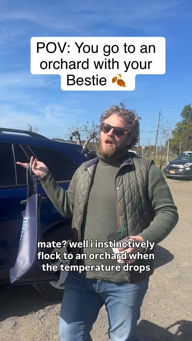 Instagram post by @walksauce42_ for DAILY HARVEST. Caption reads: It’s 48 degrees, not a cloud in the sky, my man’s....