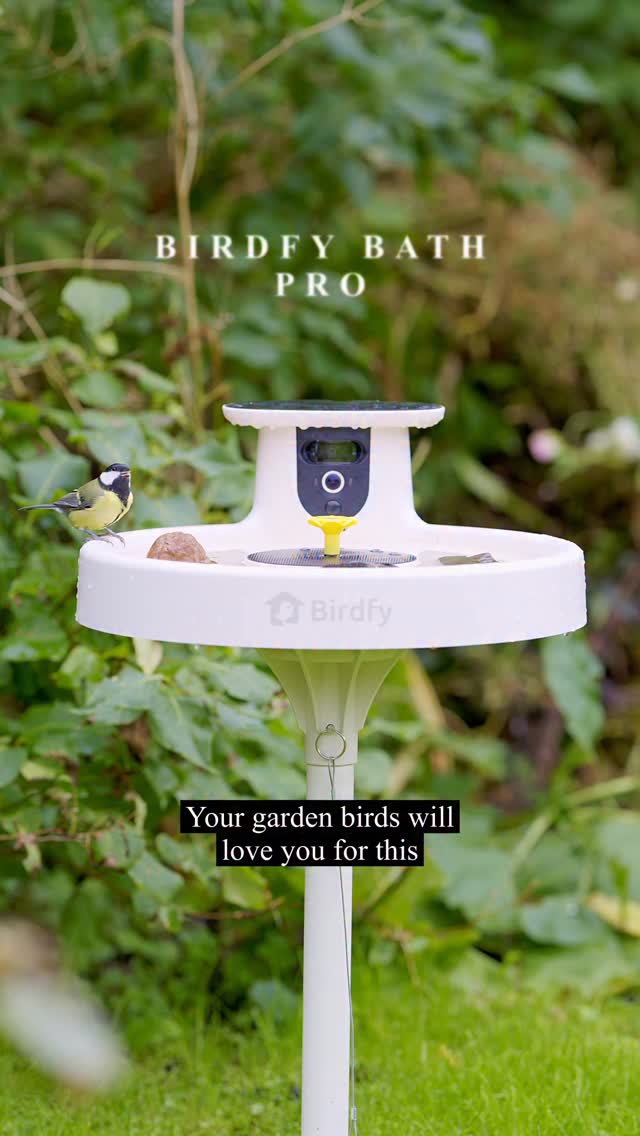 Instagram post by @pataluth for Birdfy. Caption reads: Birdfy bath pro by @birdfy_by_netvue This is an....
