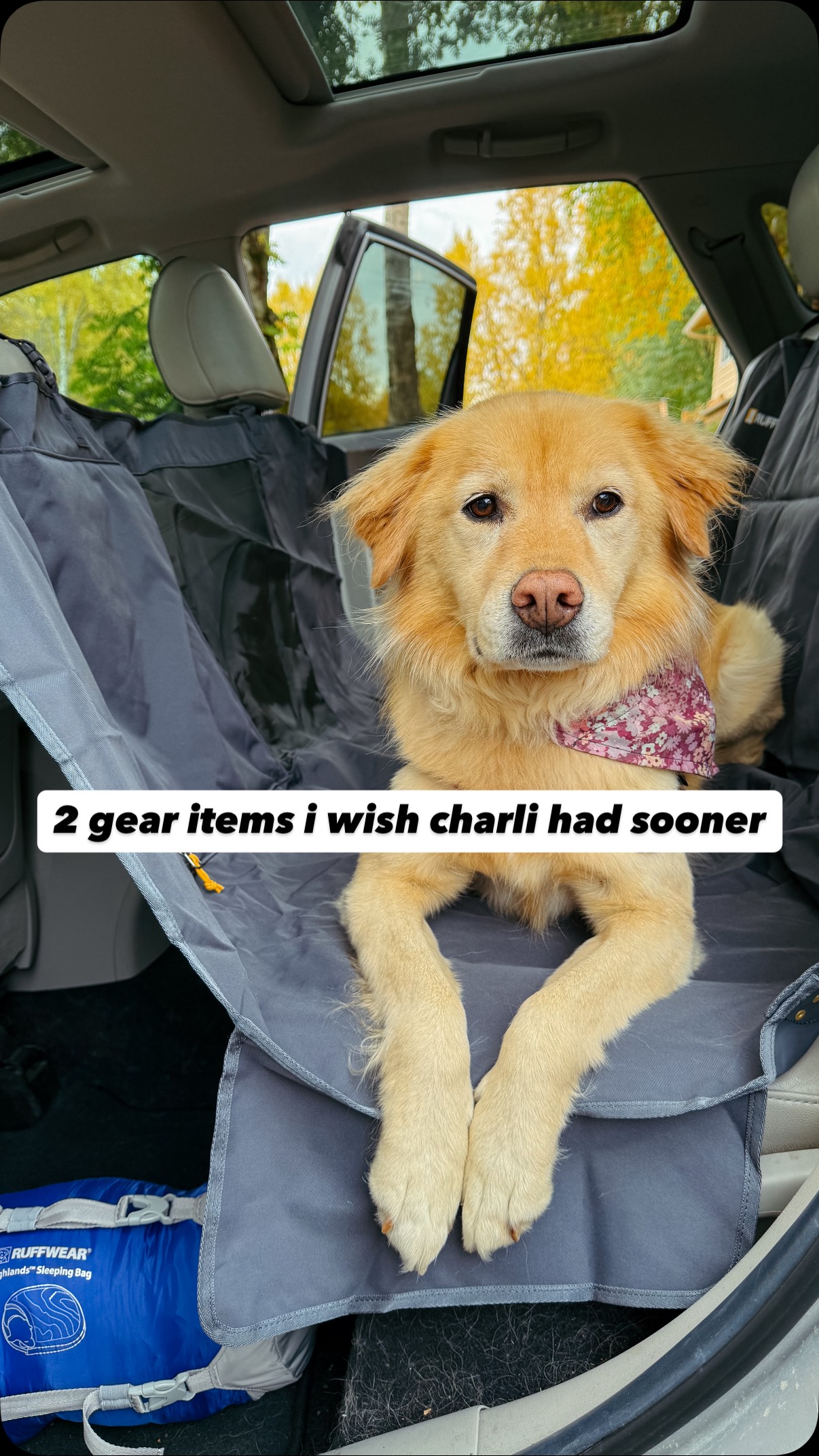 Instagram post by @graciebridgford for Ruffwear. Caption reads: two items I wish charli had sooner👇🏼 

this time....