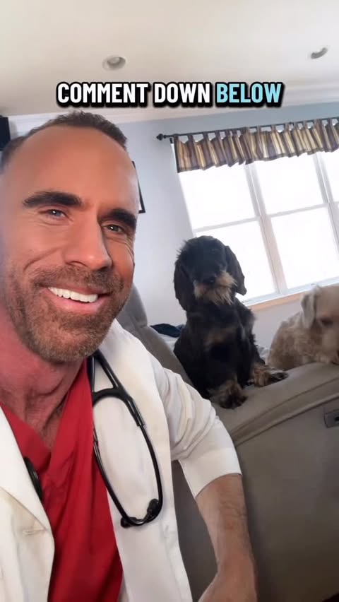 Instagram post by @adam_christman for Vetnique. Caption reads: [...] be ruff. #petdentalhealth #vetstagram....