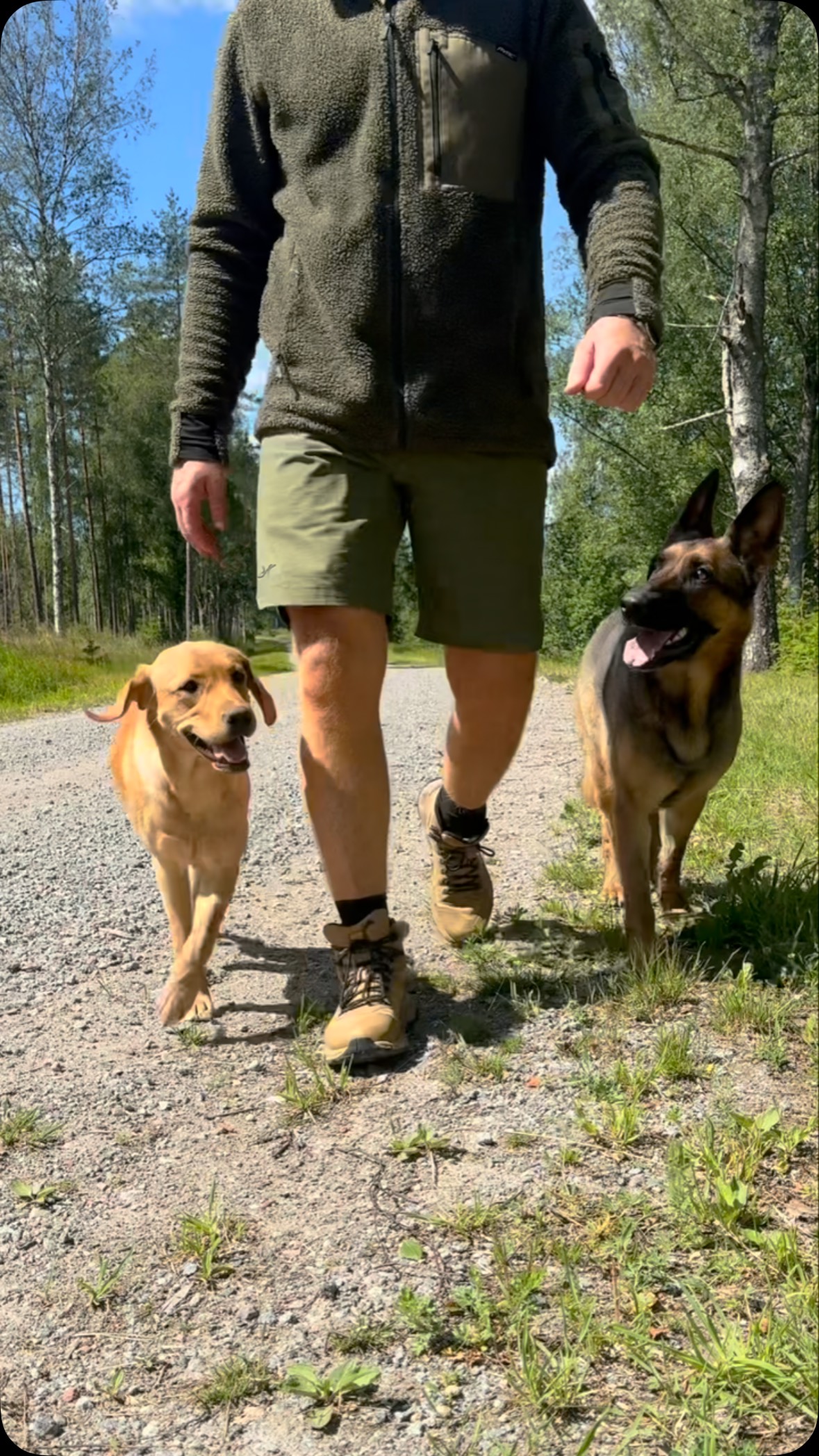 Instagram post by @hundcoachen for Revolutionrace. Caption reads: I betalt samarbete med @revolutionrace....