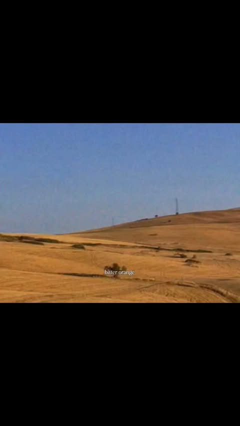 Instagram post by @caroschaeffler for Jo Malone London. Caption reads: trying to bring back warm memories @jomalonelondon....