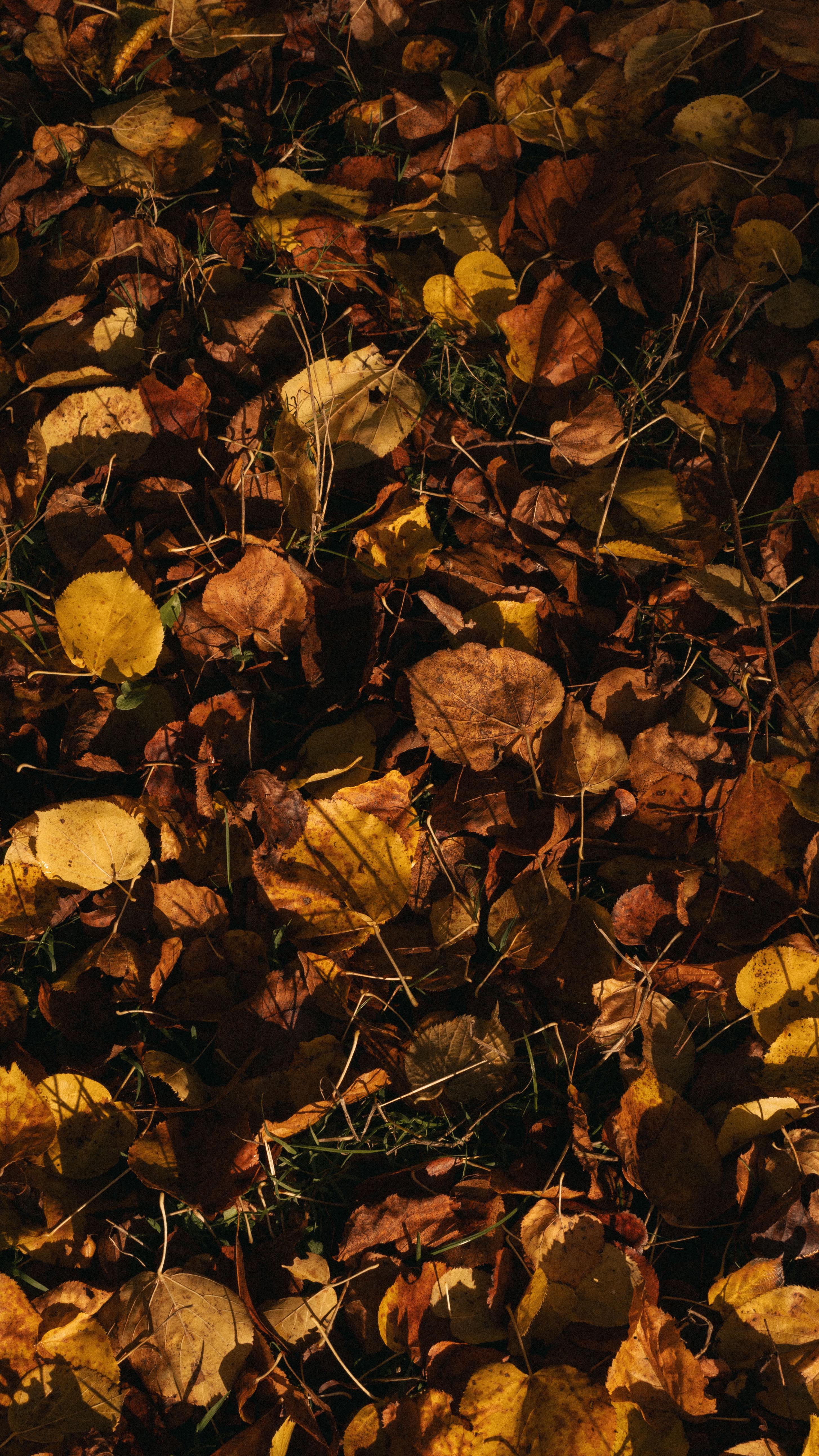 Instagram post by @lydia for Holland Cooper. Caption reads: Ad Celebrating 2 years of my book, Evergreen in....