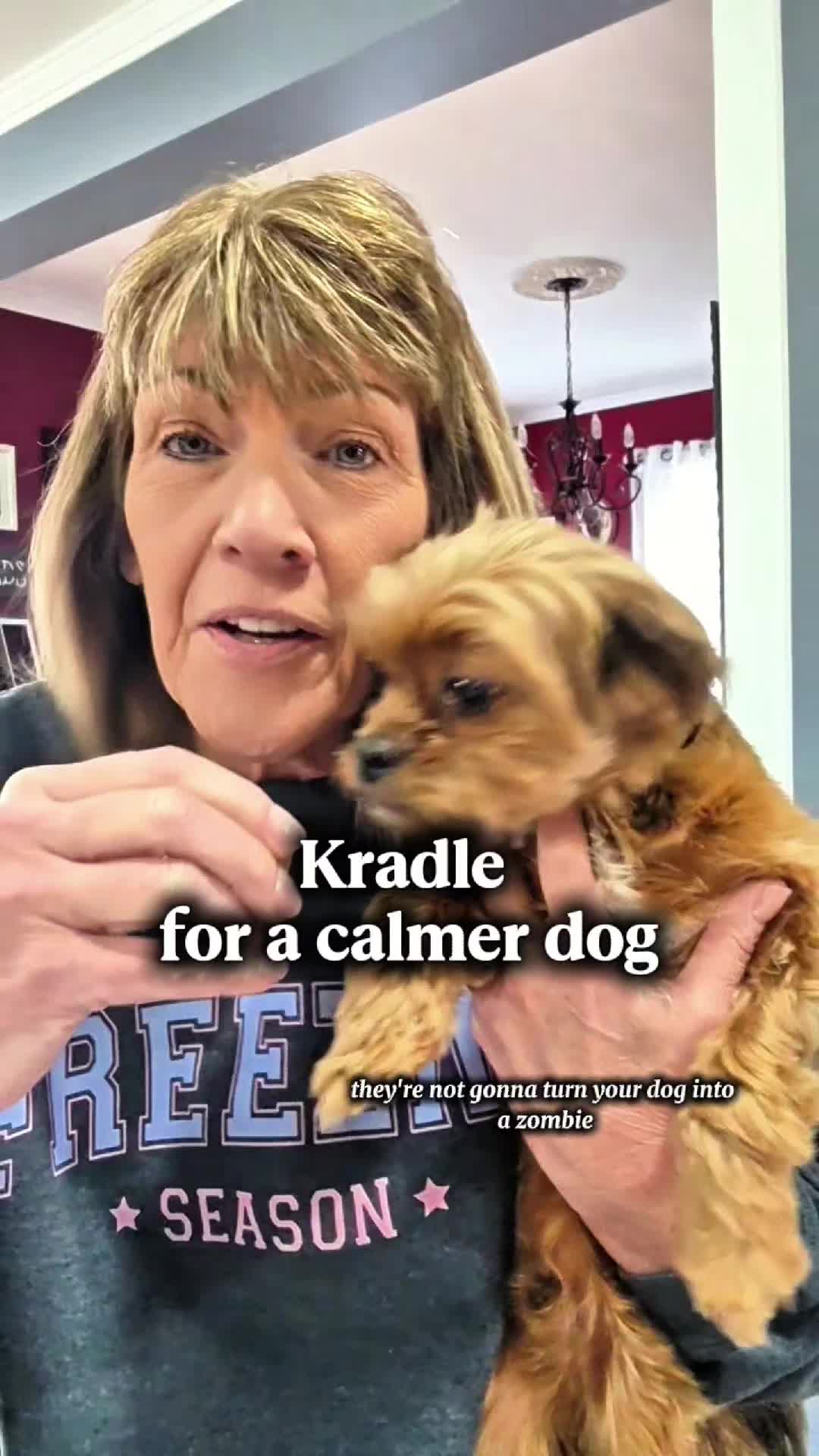 TikTok post by @shorkiebros for Kradle. Caption reads: [...] the everyday stresses your dog my have.....
