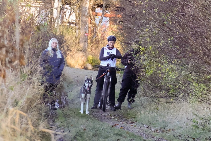 Instagram post by @siberian_snowtales for ESSENTIAL FOODS. Caption reads: We spent the weekend at @sportdphk first race in....