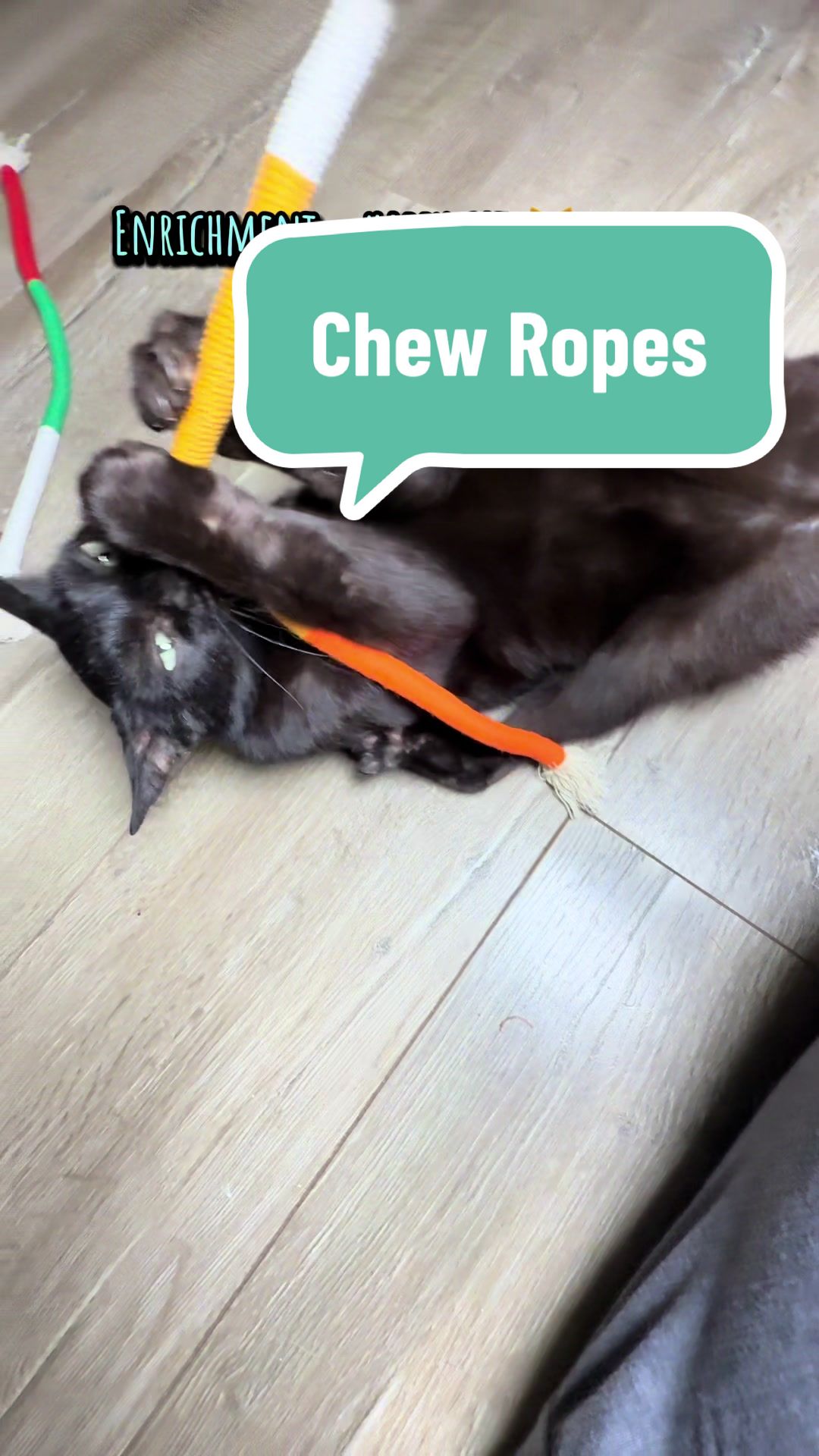 TikTok post by @ariesapproved for Potaroma. Caption reads: Aries loves his PotaRoma chew rope 🐾💙 Not only....