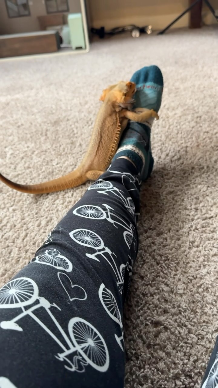 Instagram post by @whosagoodlizard for Smartwool. Caption reads: Oh @smartwool let me count the ways….