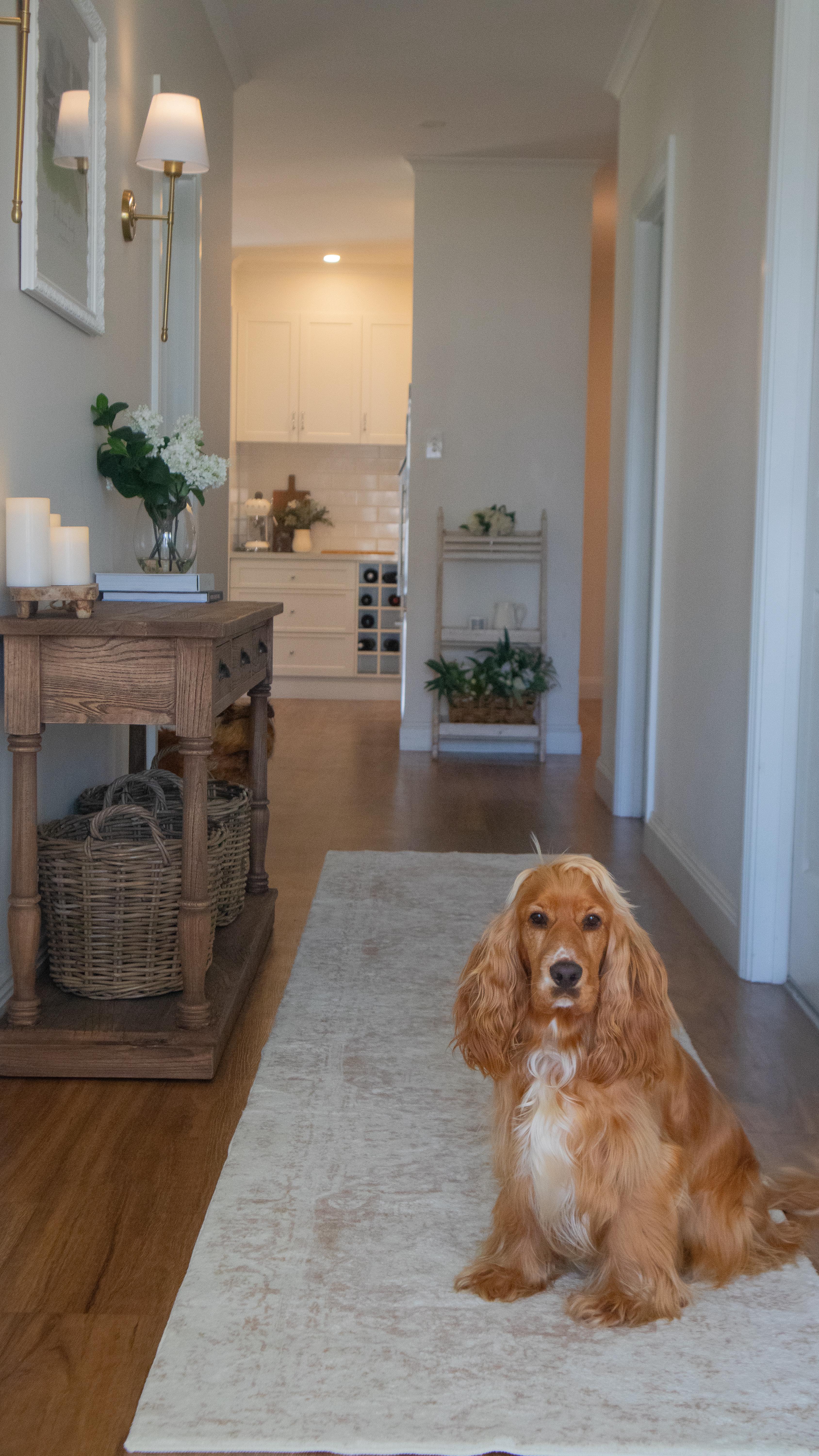 Instagram post by @meet.the.mackenzies for Miss Amara. Caption reads: I’ve had lots of ‘you need a hallway runner’....