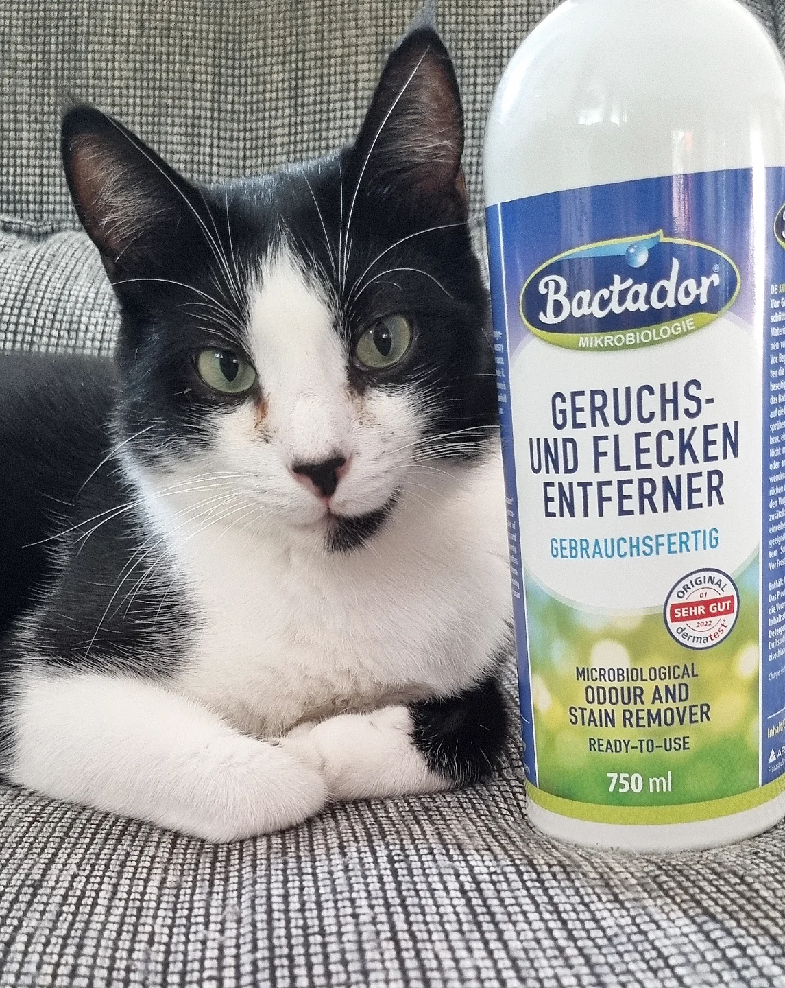 Instagram post by @beatecats for Konsumgoettinnen. Caption reads: Werbung / Produkttest 

Wir dürfen gerade den....