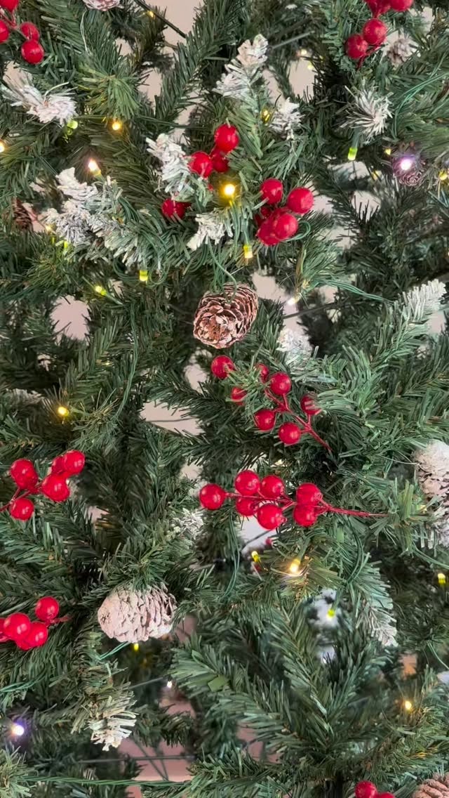 Instagram post by @seldasahn for Dowan. Caption reads: ✨ Dowan’s ceramics are the best quality I’ve ever....