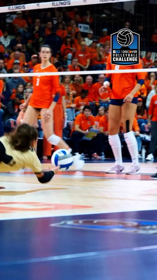 Instagram post by @avb_network for Discover. Caption reads: Wait for the replay on this diving dig by Ryan....