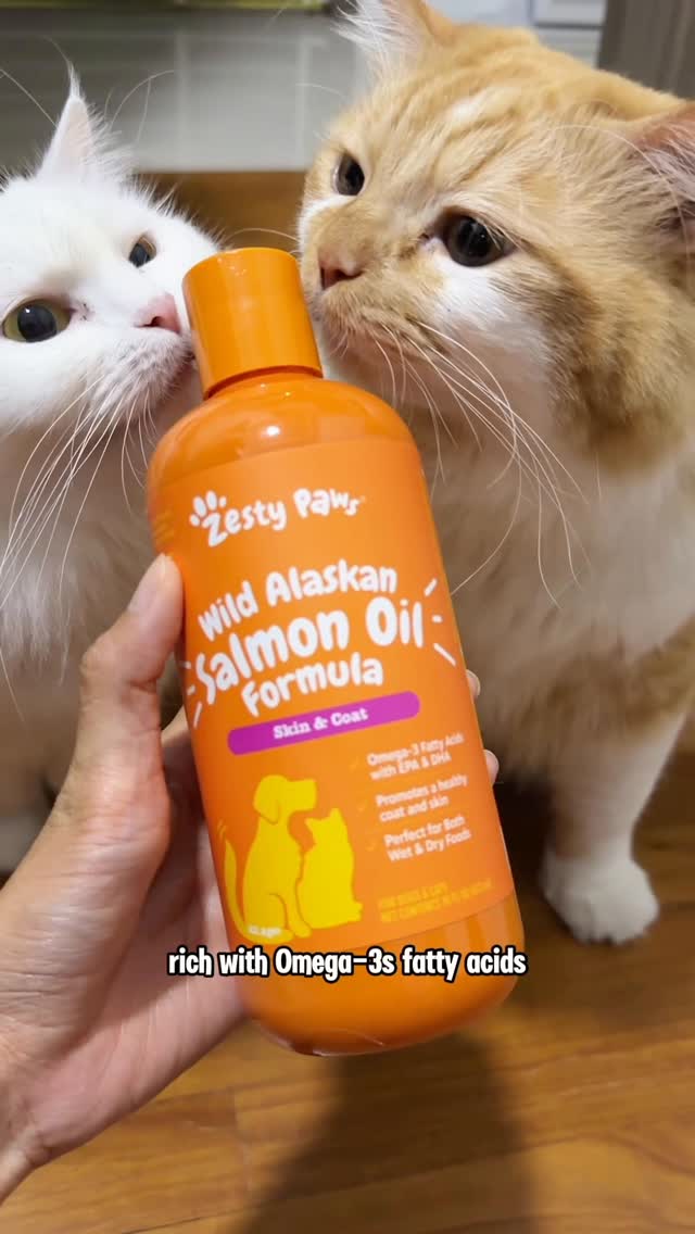 Instagram post by @nekokeikochan for Zesty Paws. Caption reads: My hooman always knows when I’m not feeling my....