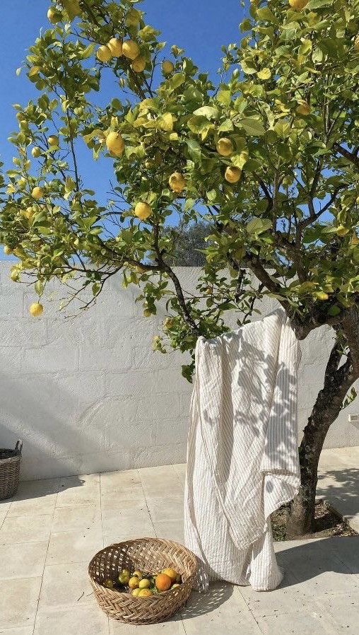 Instagram post by @mayliemartini for Kulani Kinis. Caption reads: [...] I packed for my holiday 
🩷🍋‍🟩✨🐚🌺....