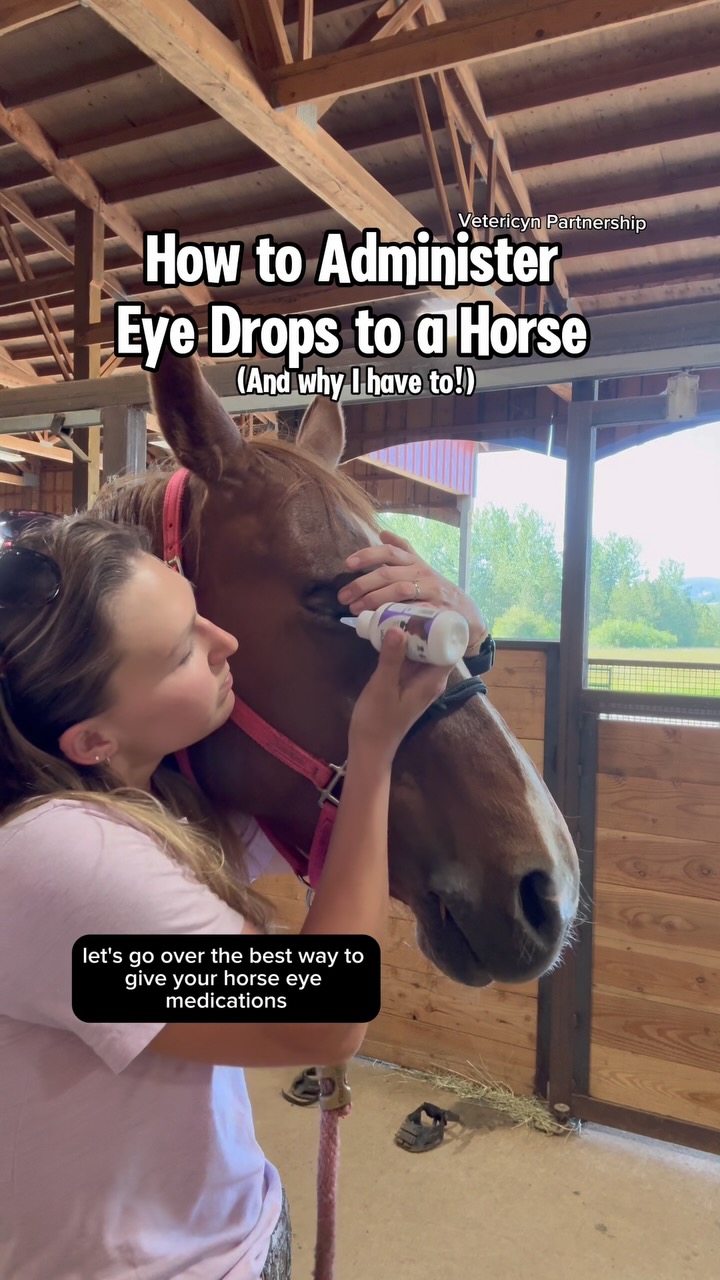 Instagram post by @doublezfarm for Vetericyn. Caption reads: #ad How to Administer Eye Drops to a Horse! 
My....