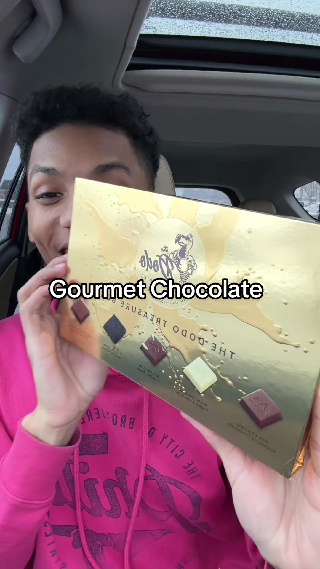 TikTok post by @veryymuchjojo for Dodo Chocolates. Caption reads: @The Dodo Chocolates #gourmet #chocolate.