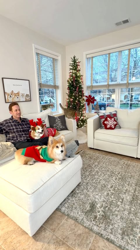 Instagram post by @hammyandolivia for Lovesac. Caption reads: We digested the big meal, so it’s time to....