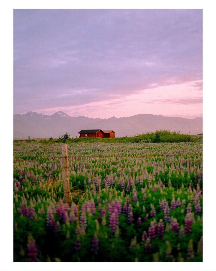 Instagram post by @nev.in.color for Kodak. Caption reads: [...] Mamiya 7 & Canon A2E
•
•
#madewithkodak....