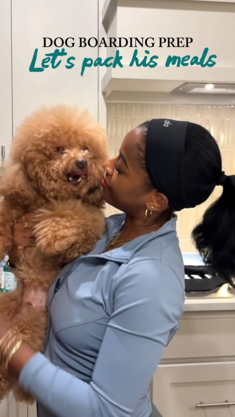 Instagram post by @papathepoodle for Open Farm Pet. Caption reads: [...] pack the feeding instructions 🐶🫶🏾....