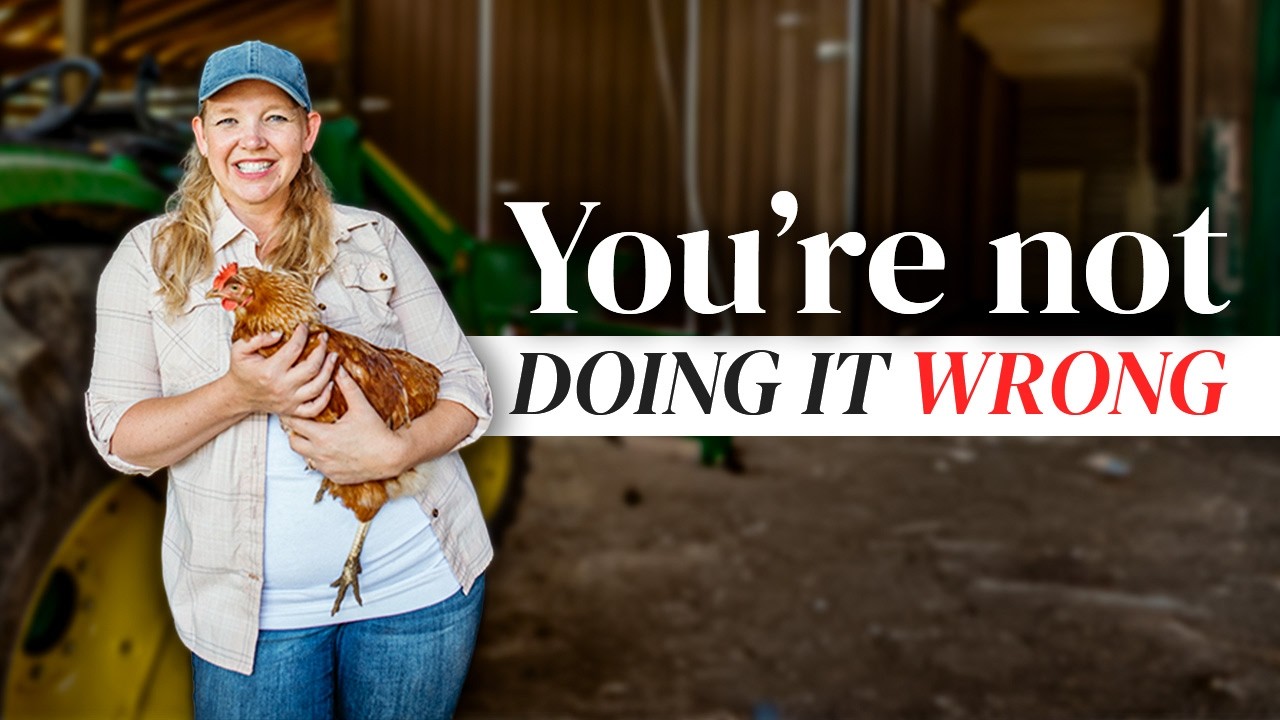 YouTube post by @HomesteadingFamily for Grubbly Farms. Caption reads: What I Wish I Knew Before Keeping Chickens.