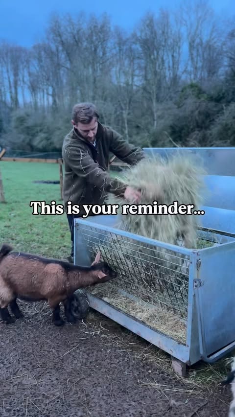 Instagram post by @thebraleyfamily for ITV. Caption reads: [...] is getting locked into the incredible @itv &....