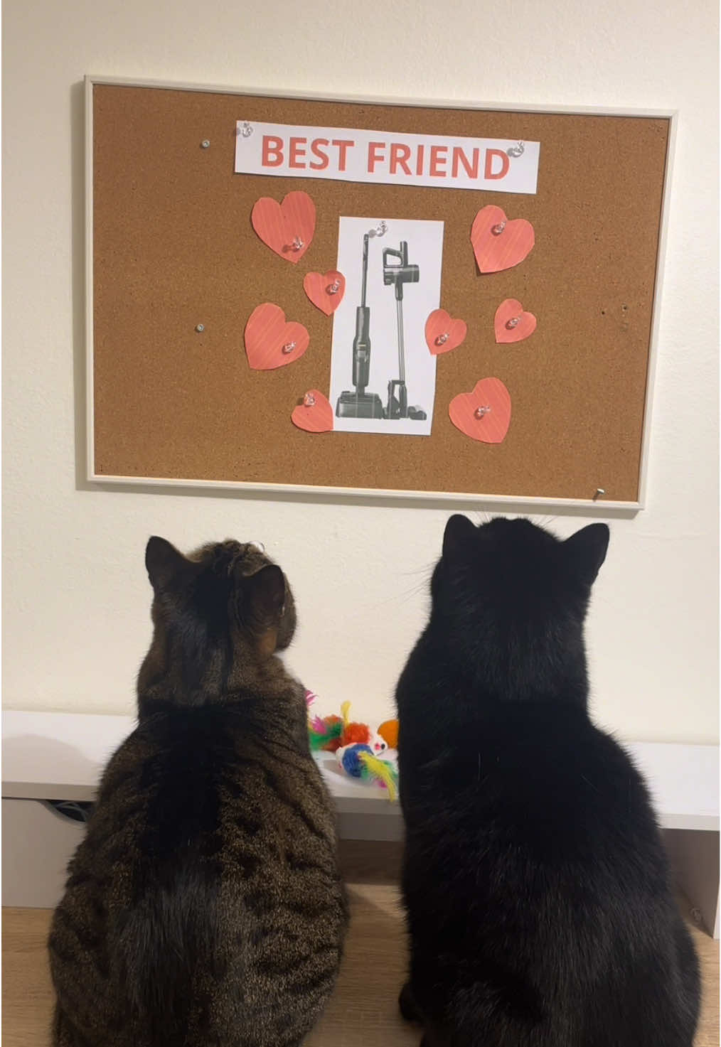 TikTok post by @oh_my_cat for Roborock. Caption reads: [...] for you that will change your life!....