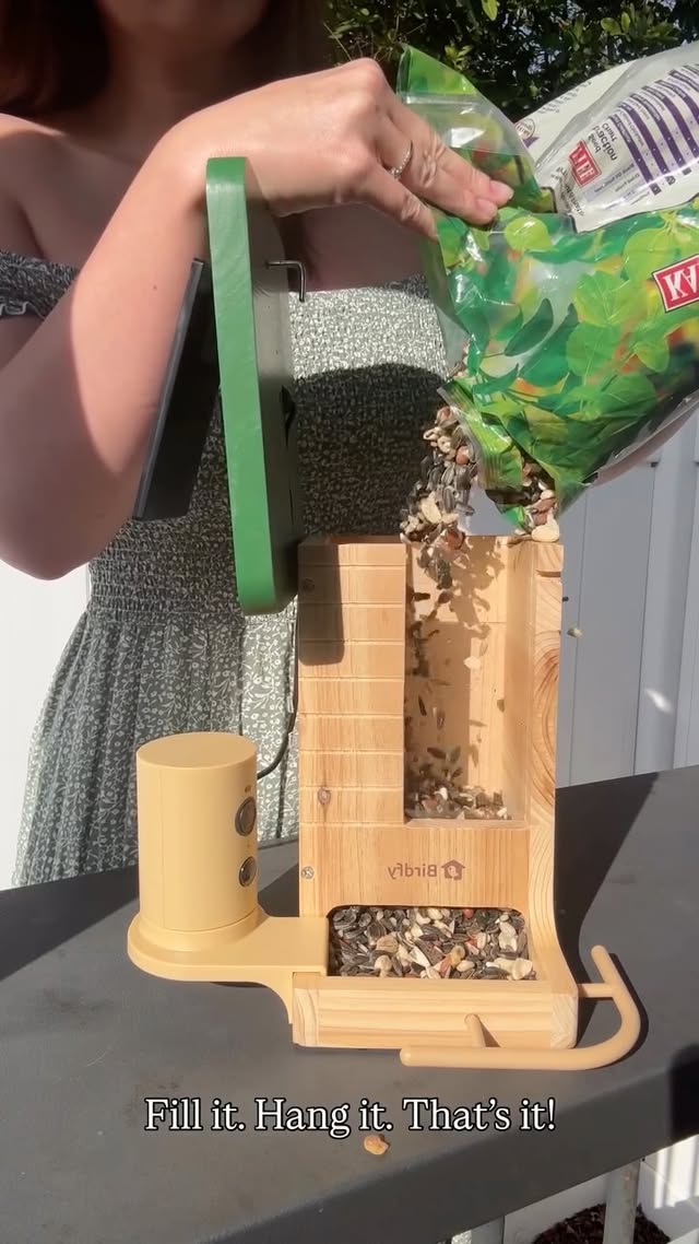 Instagram post by @wildbeyondthewoods for Birdfy. Caption reads: [...] helps me slow down and notice more. The....