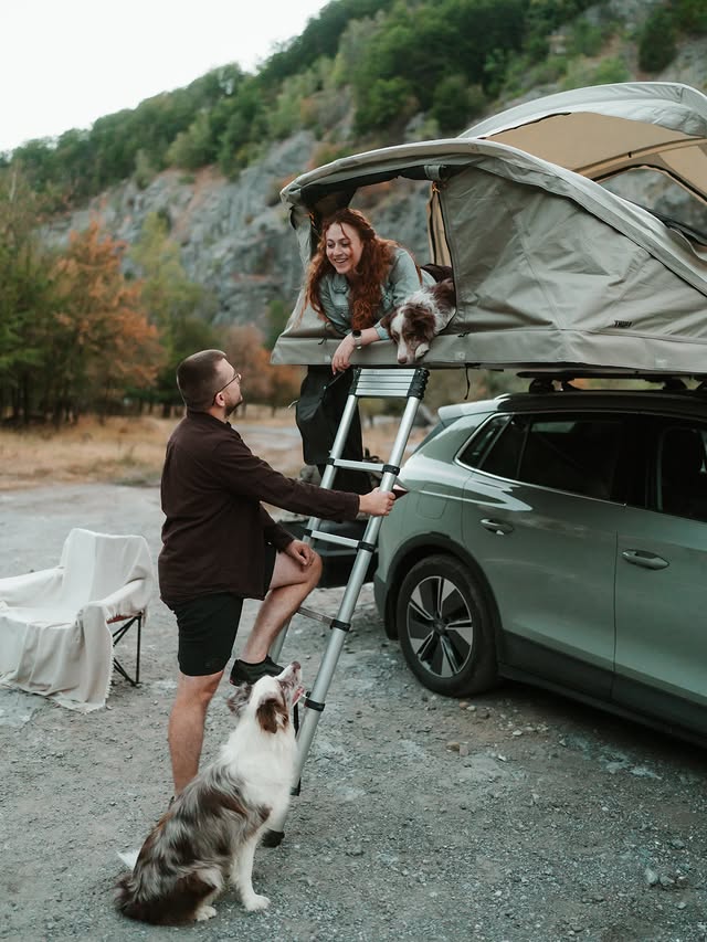 Instagram post by @twomerlecollies for Thule. Caption reads: Our home away from home 🤎 AD | @thule....