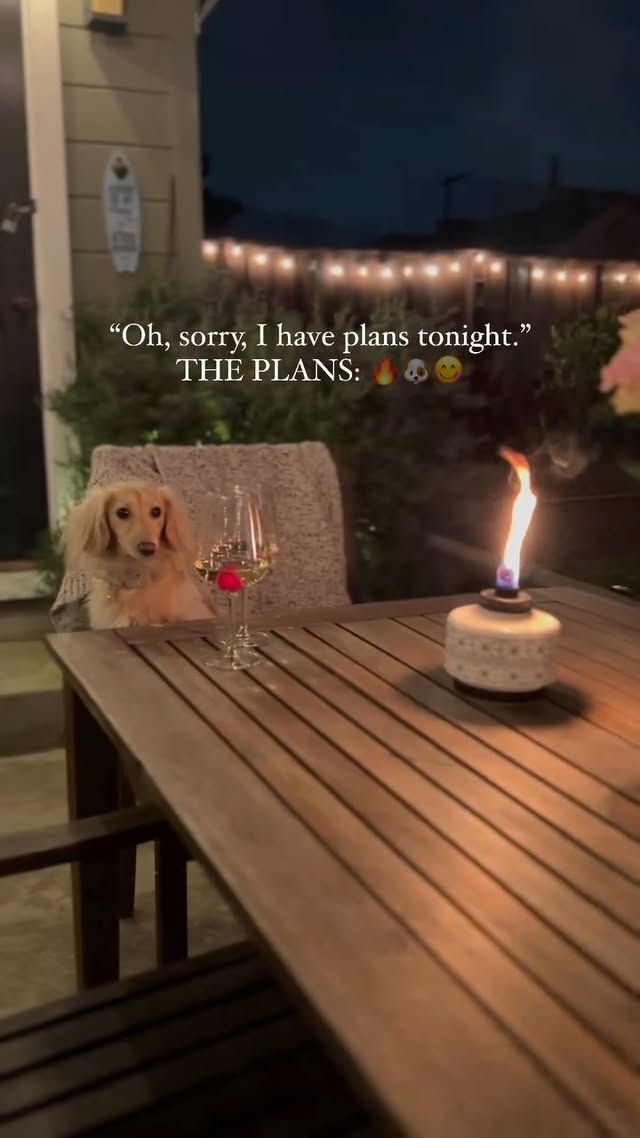 Instagram post by @watsonthedox for TIKI Brand. Caption reads: [...] #mothersday weekend 🐶🔥❤️ #bestplans....