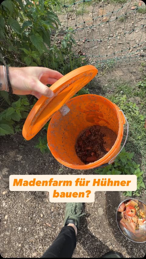 Instagram post by @julianmediahouse for OBI Österreich. Caption reads: Hühner lieben Maden – und genau deshalb habe ich....