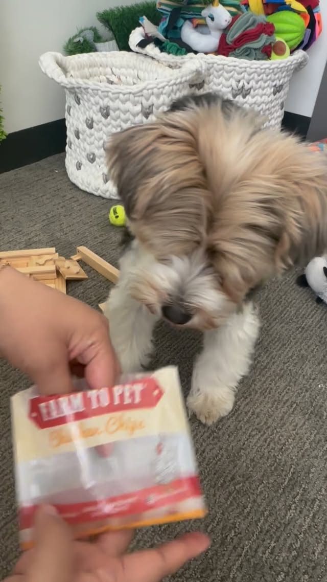 Instagram post by @tricolor.toby for Farm to Pet. Caption reads: [...] eat only 1… who else is with me? Chips....