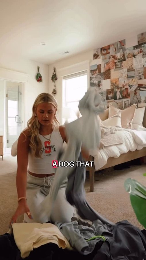 Instagram post by @the.leroys for Visible. Caption reads: Family group chat = nonstop chaos 😂 but at least....