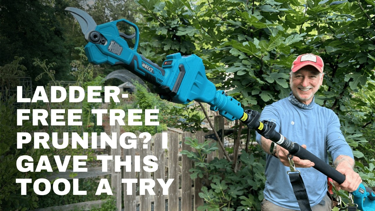 YouTube post by @joegardenerTV for Seesii. Caption reads: [...] Pole Pruner | Honest Tool Review of the....