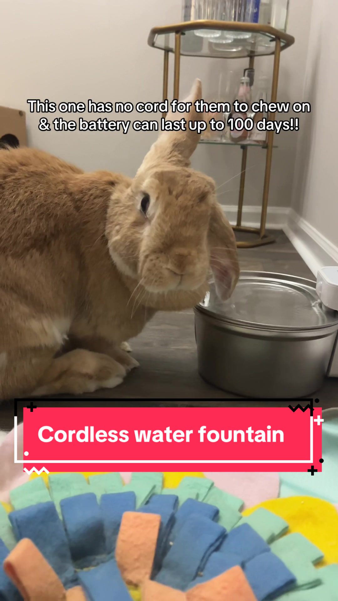 TikTok post by @leotheflemishgiant for Uahpet Shop US. Caption reads: [...] This cordless fountain is from @Uahpet Shop....